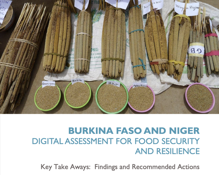 Burkina Faso and Niger Digital Assessment for Food Security and Resilience