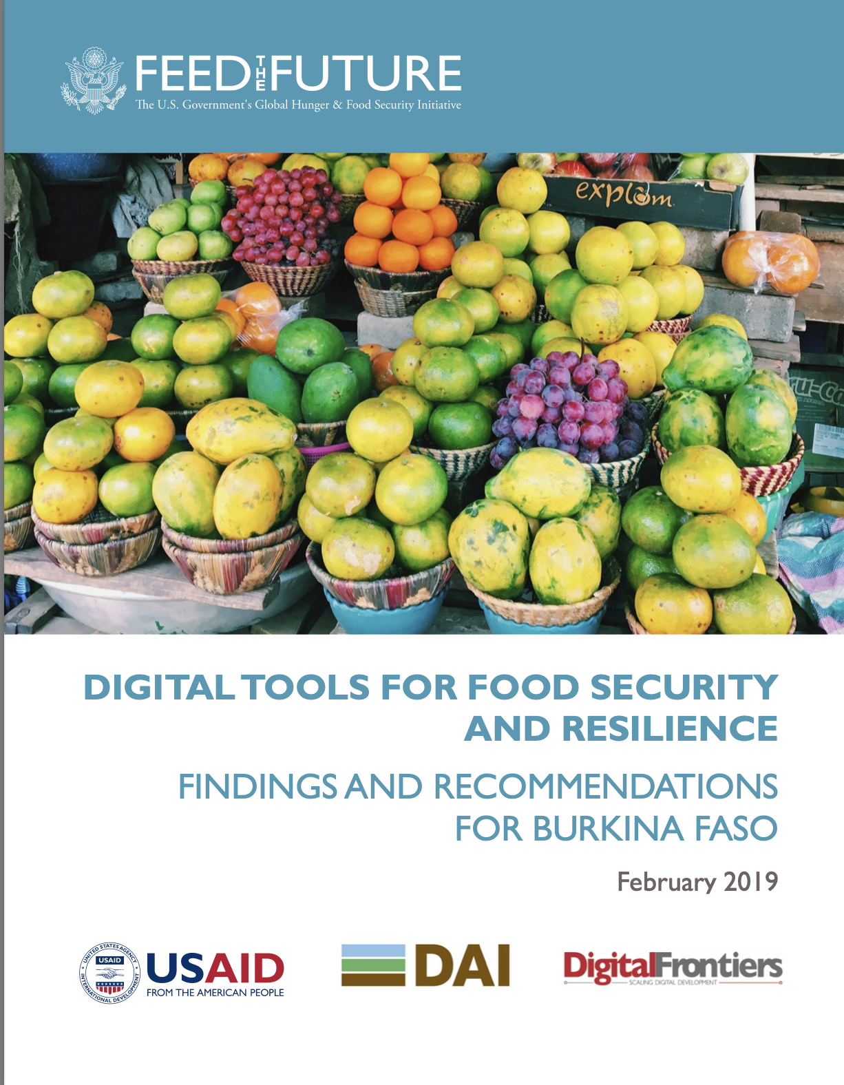 Digital Tools for Food Security and Resilience: Findings and Recommendations for Burkina Faso